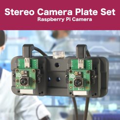 Stereo Camera